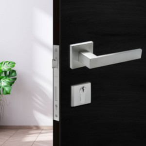 F5450 Lokta wpuszczana dźwignia ze stalinierdzewnej, blokada uchwytu kluczyka